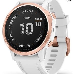 Garmin Fenix 6S Pro